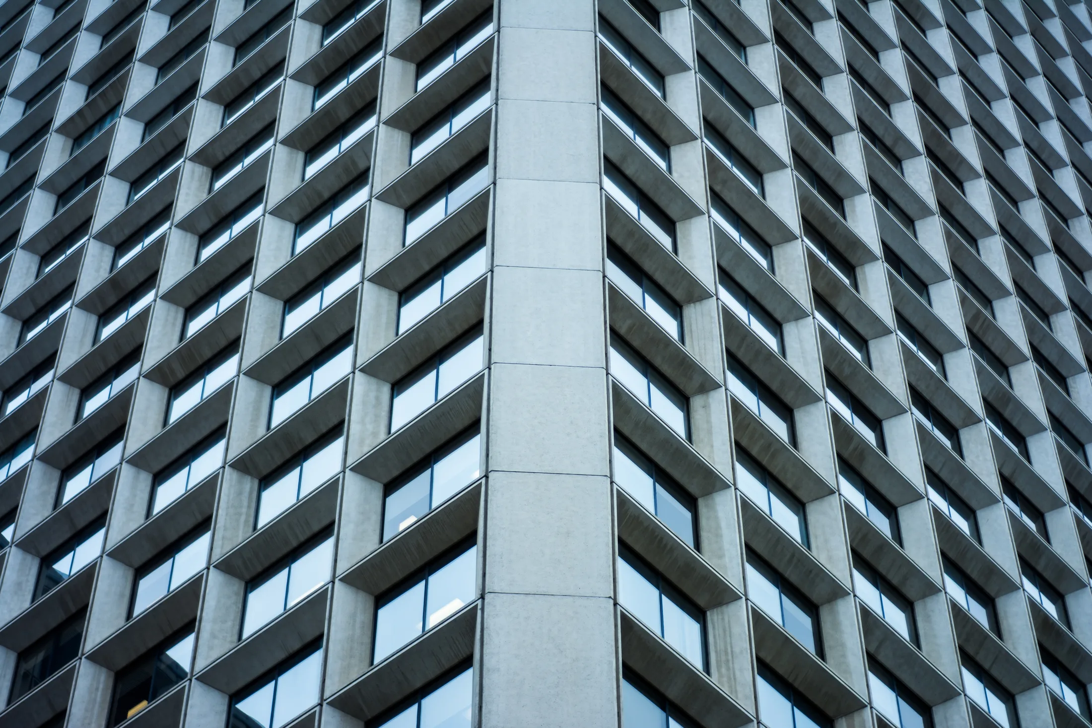 Fachada acristalada de un edificio en retícula